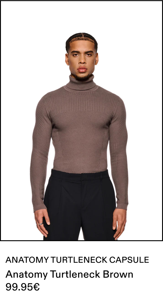 Anatomy Turtleneck Brown